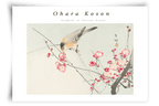 Songbird on blossem branch - FineArt Printing Hoorn
